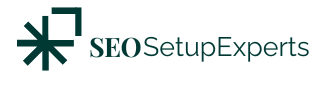 SEOsetupEXPERT logo